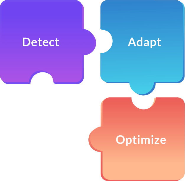 Detect Adapt Optimize