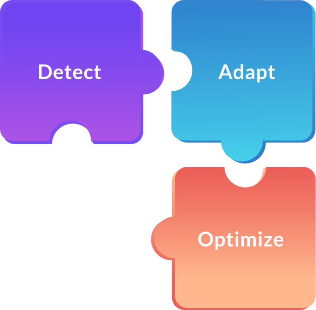 Detect Adapt Optimize