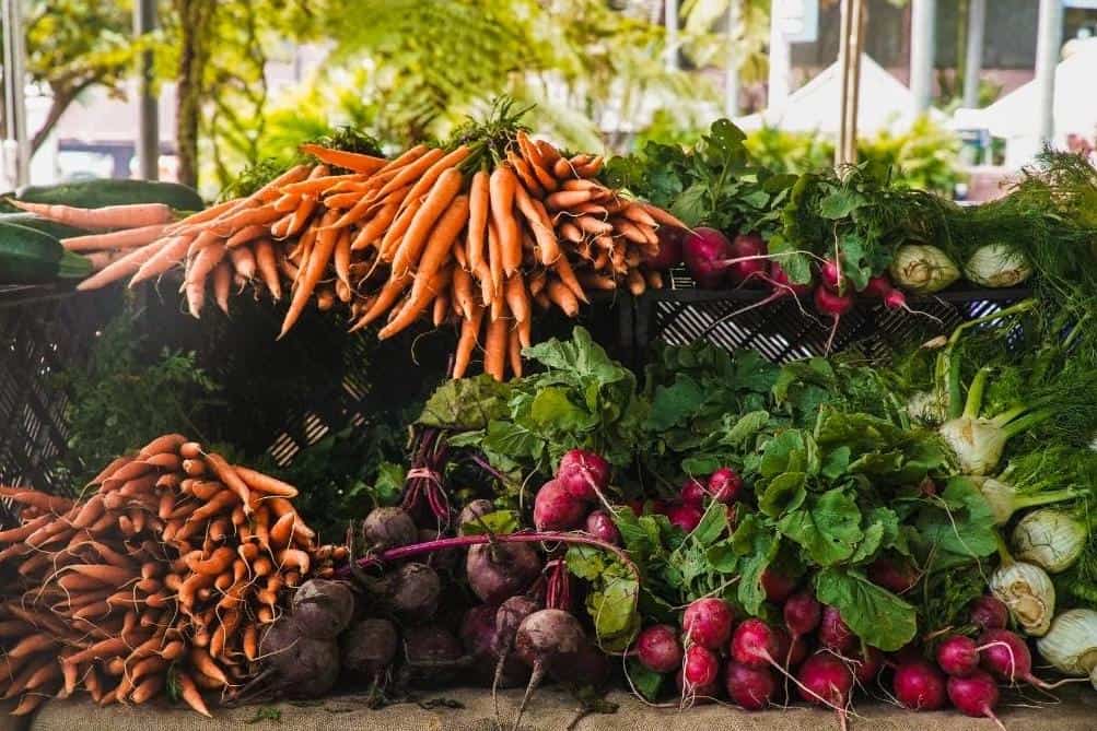 Food Supply Chain